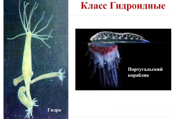 Нарко магазин кракен