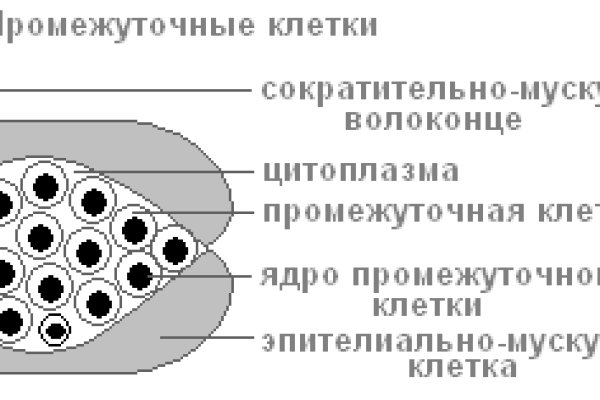Как найти kraken