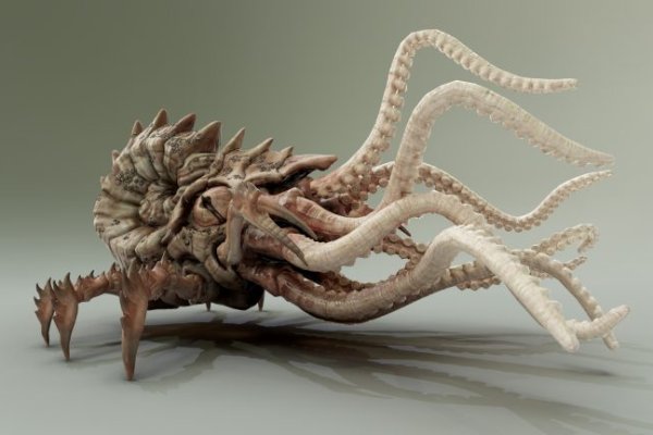 Kraken адрес