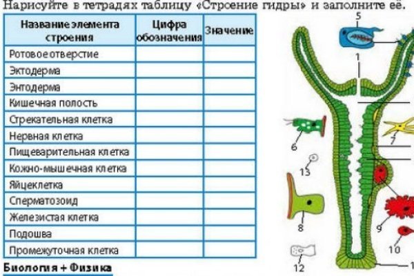 Как зайти на кракен в тор браузере