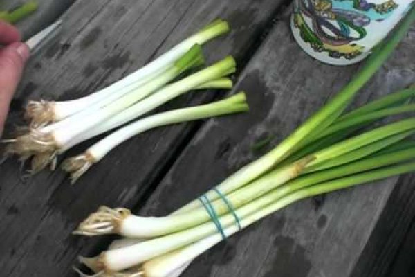 Где брать ссылки на кракен