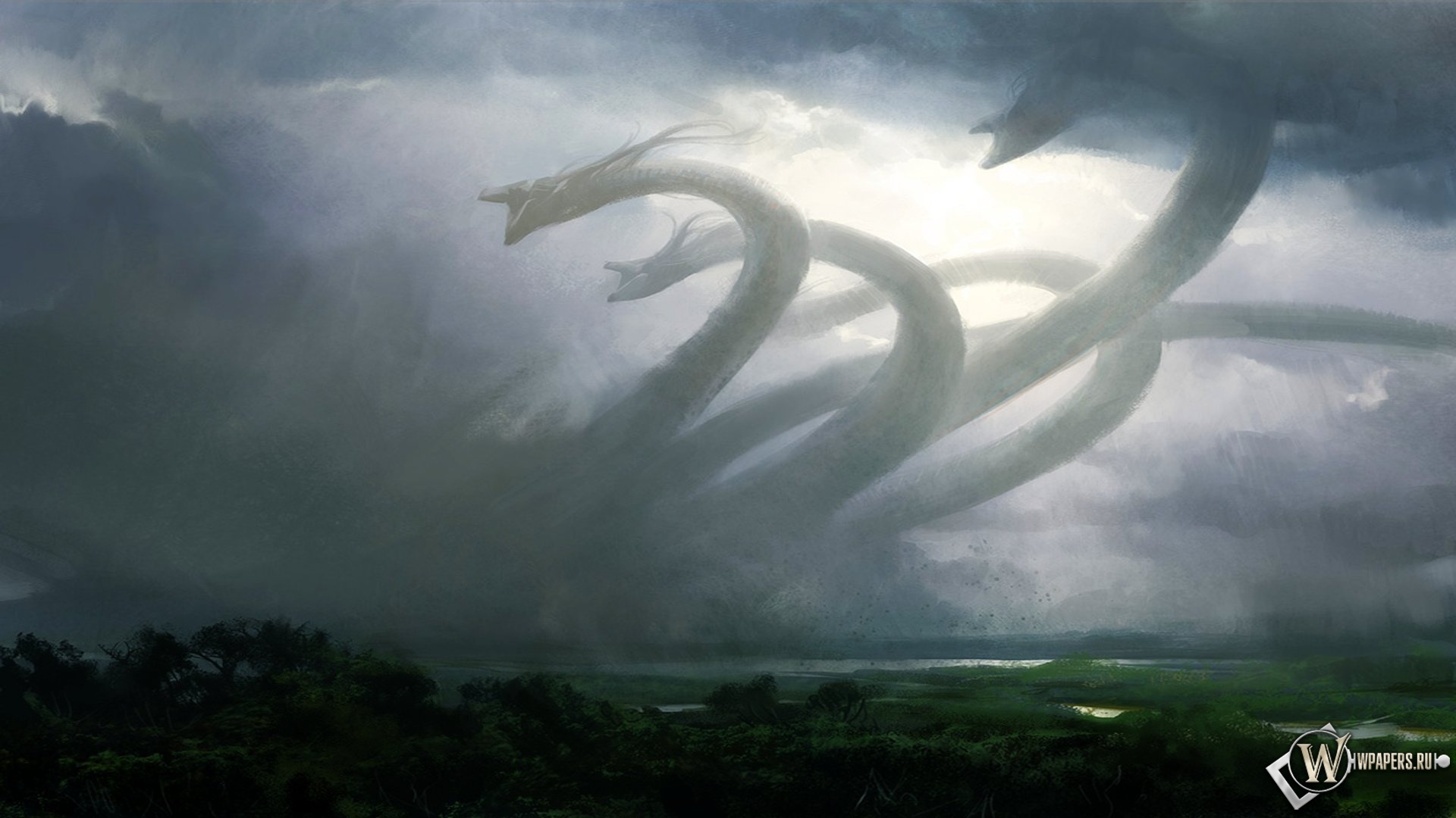 Kraken kraken link24 info