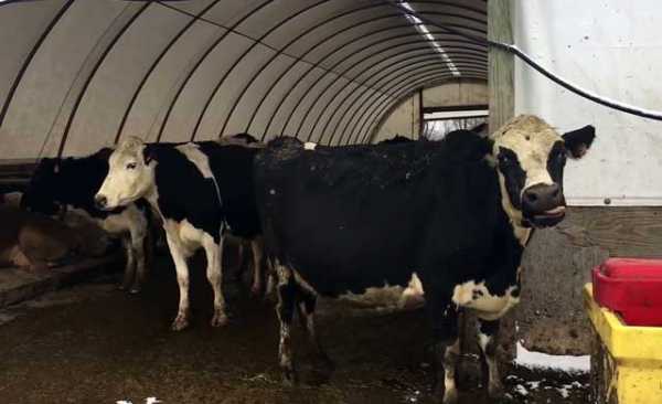 Кракен зеркало krk market com